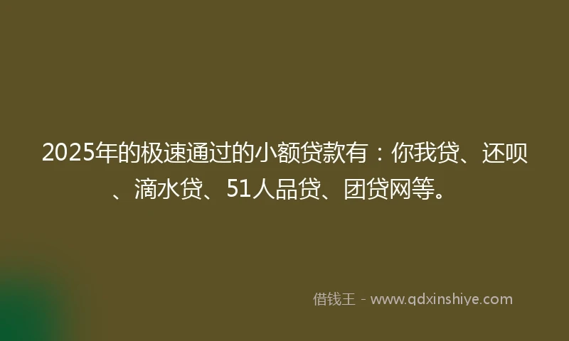 2025年的极速通过的小额贷款有：你我贷、还呗、滴水贷、51人品贷、团贷网等。