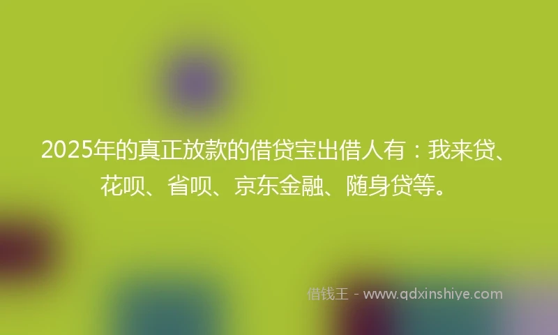 2025年的真正放款的借贷宝出借人有：我来贷、花呗、省呗、京东金融、随身贷等。