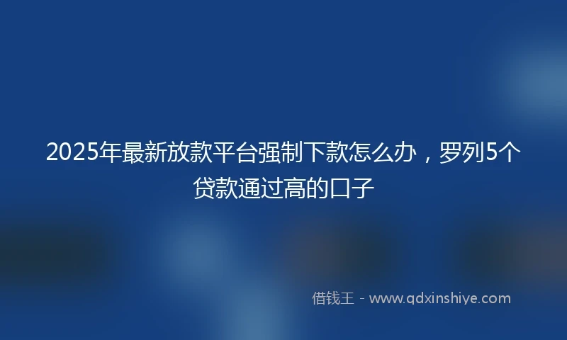 2025年最新放款平台强制下款怎么办，罗列5个贷款通过高的口子