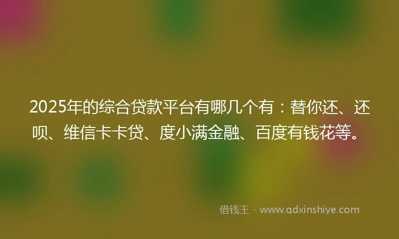 2025年的综合贷款平台有哪几个有：替你还、还呗、维信卡卡贷、度小满金融、百度有钱花等。