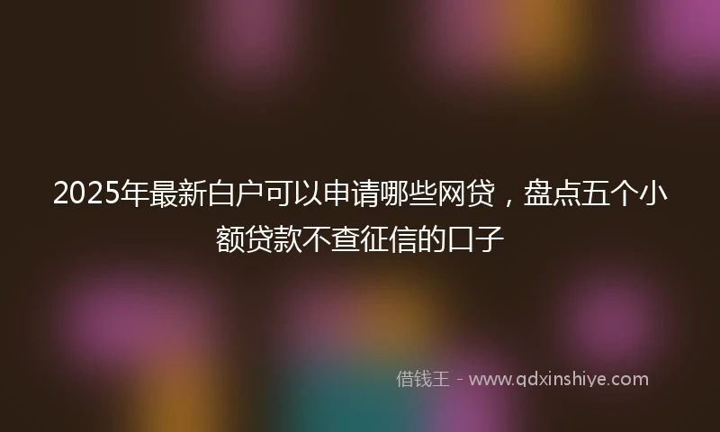 2025年最新白户可以申请哪些网贷，盘点五个小额贷款不查征信的口子