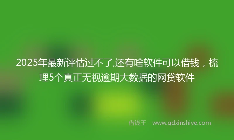 2025年最新评估过不了,还有啥软件可以借钱,梳理5个真正无视逾期大数据的网贷软件