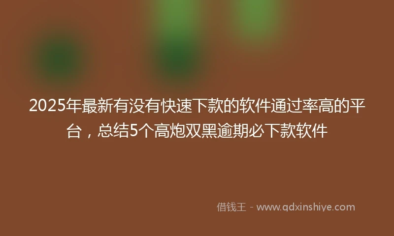 2025年最新有没有快速下款的软件通过率高的平台，总结5个高炮双黑逾期必下款软件