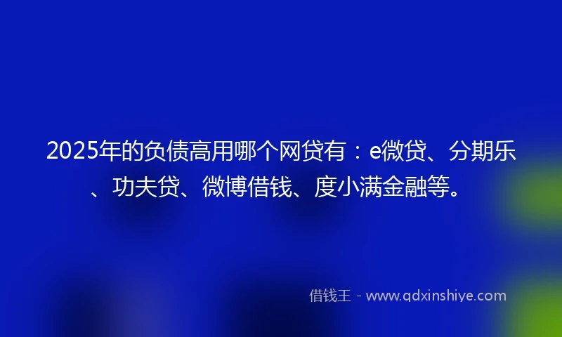 2025年的负债高用哪个网贷有：e微贷、分期乐、功夫贷、微博借钱、度小满金融等。