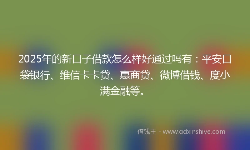 2025年的新口子借款怎么样好通过吗有：平安口袋银行、维信卡卡贷、惠商贷、微博借钱、度小满金融等。