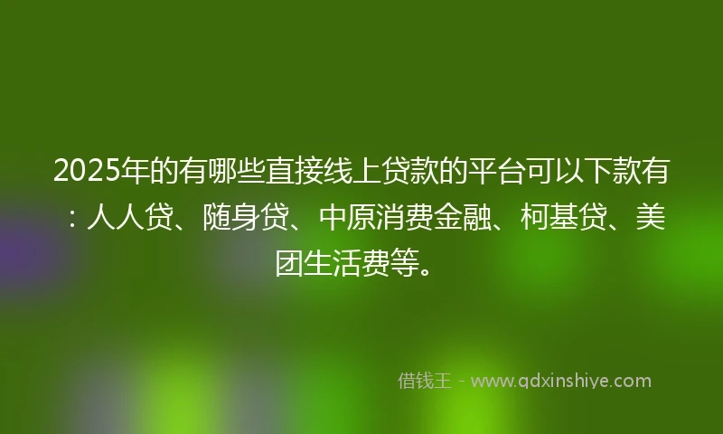 2025年的有哪些直接线上贷款的平台可以下款有：人人贷、随身贷、中原消费金融、柯基贷、美团生活费等。