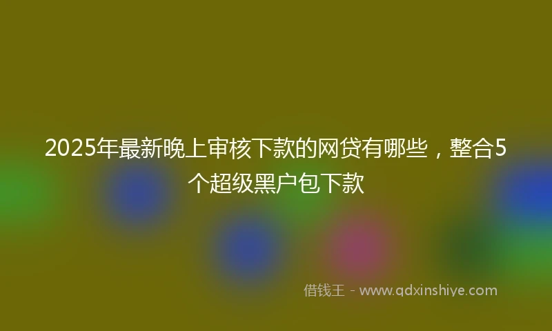 2025年最新晚上审核下款的网贷有哪些，整合5个超级黑户包下款