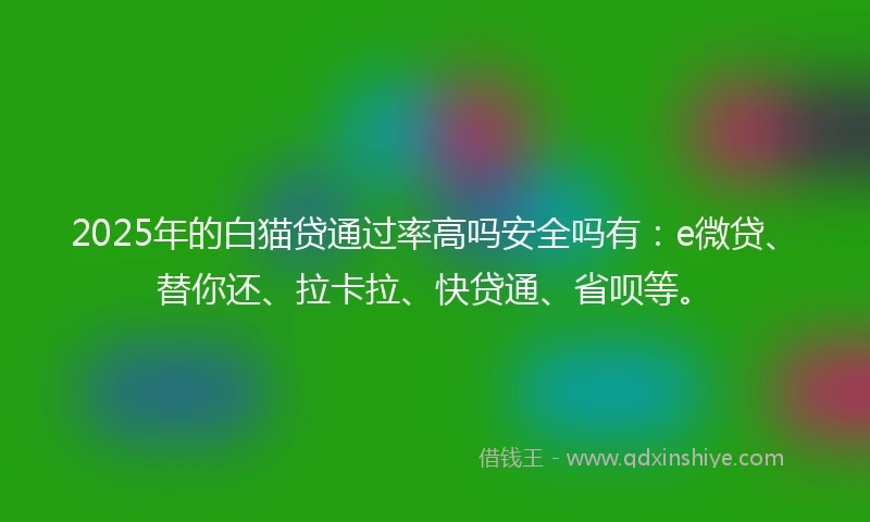 2025年的白猫贷通过率高吗安全吗有：e微贷、替你还、拉卡拉、快贷通、省呗等。