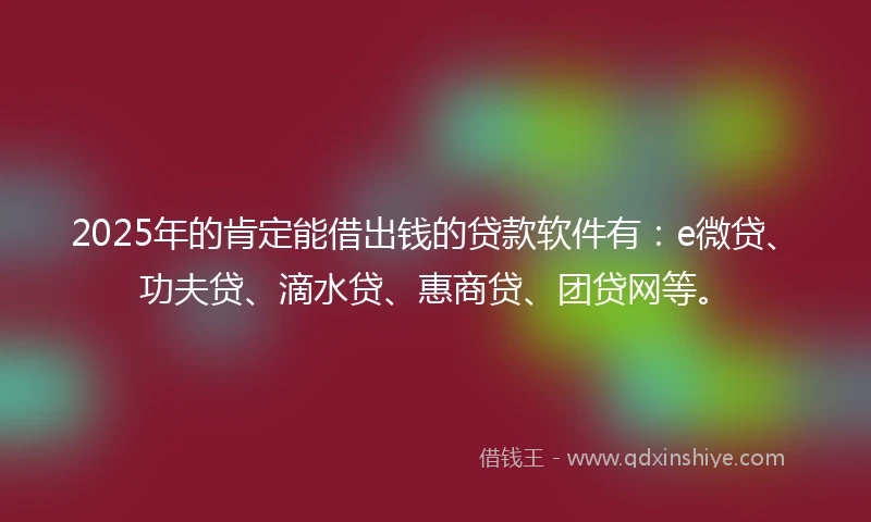 2025年的肯定能借出钱的贷款软件有：e微贷、功夫贷、滴水贷、惠商贷、团贷网等。