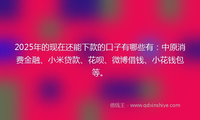 2025年的现在还能下款的口子有哪些有：中原消费金融、小米贷款、花呗、微博借钱、小花钱包等。