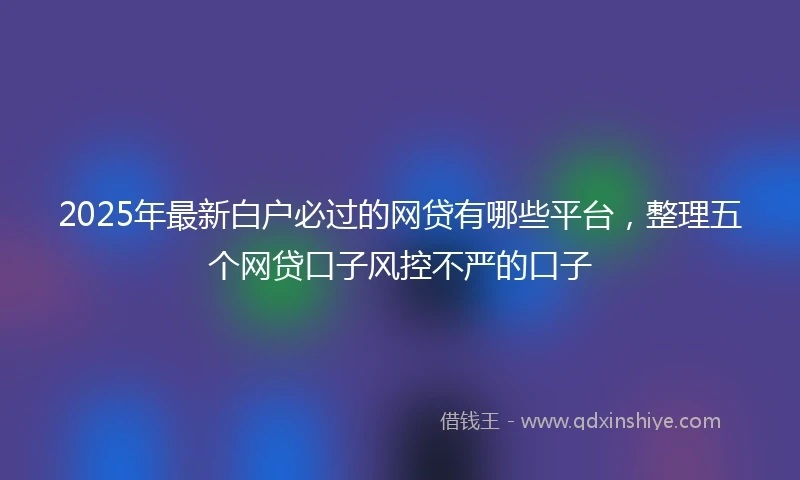 2025年最新白户必过的网贷有哪些平台，整理五个网贷口子风控不严的口子