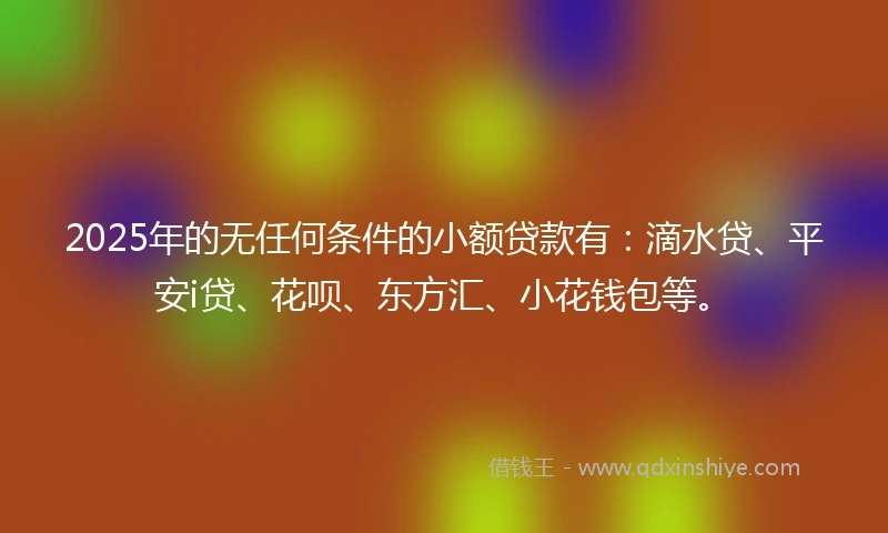 2025年的无任何条件的小额贷款有：滴水贷、平安i贷、花呗、东方汇、小花钱包等。