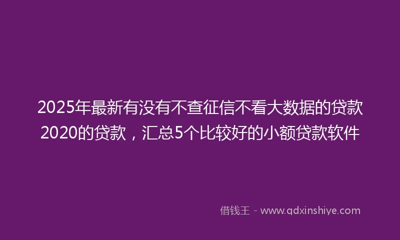 2025年最新有没有不查征信不看大数据的贷款2020的贷款，汇总5个比较好的小额贷款软件