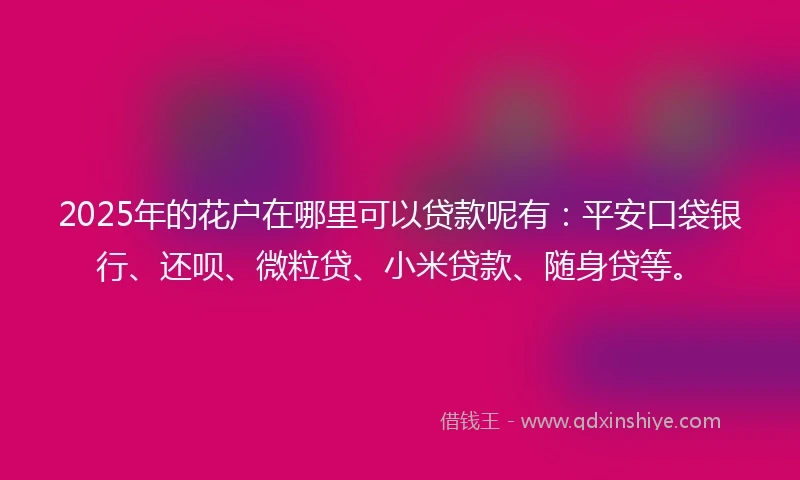 2025年的花户在哪里可以贷款呢有：平安口袋银行、还呗、微粒贷、小米贷款、随身贷等。