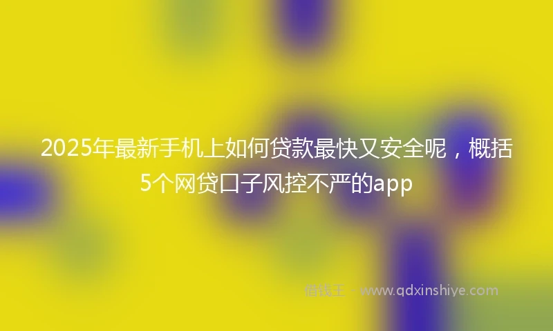2025年最新手机上如何贷款最快又安全呢，概括5个网贷口子风控不严的app