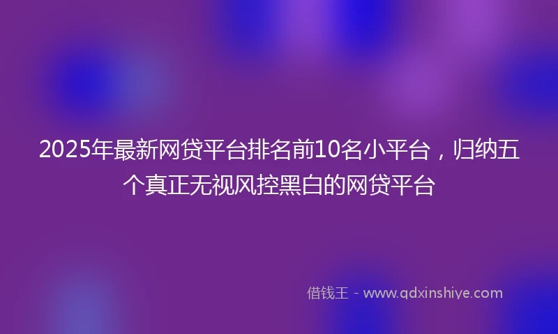 2025年最新网贷平台排名前10名小平台，归纳五个真正无视风控黑白的网贷平台