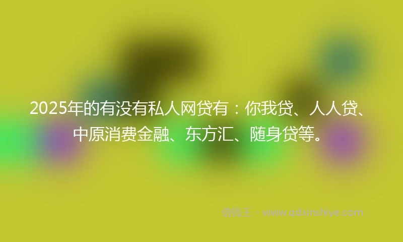 2025年的有没有私人网贷有：你我贷、人人贷、中原消费金融、东方汇、随身贷等。