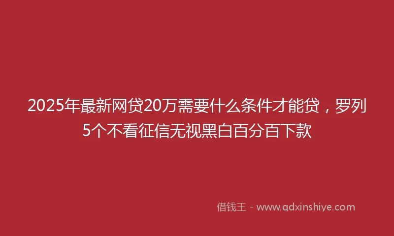 2025年最新网贷20万需要什么条件才能贷，罗列5个不看征信无视黑白百分百下款