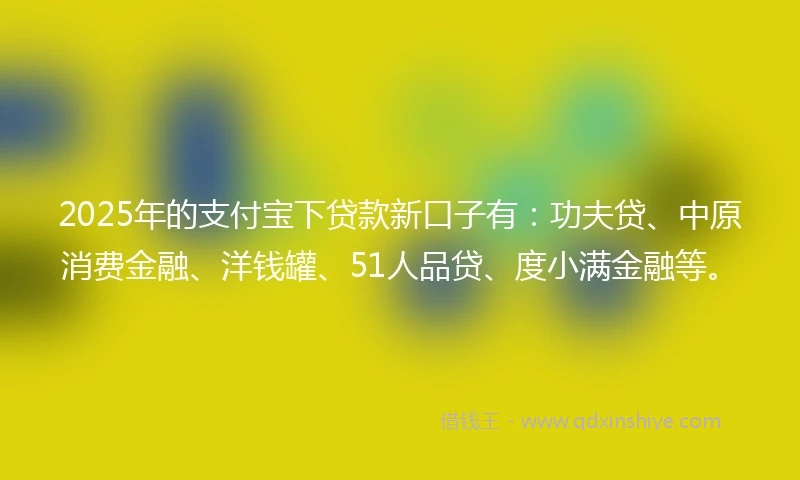 2025年的支付宝下贷款新口子有：功夫贷、中原消费金融、洋钱罐、51人品贷、度小满金融等。