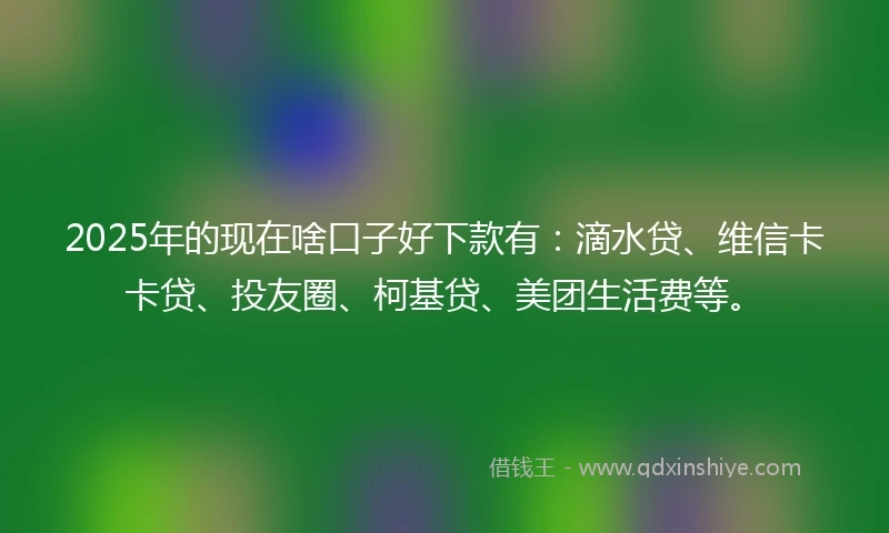 2025年的现在啥口子好下款有：滴水贷、维信卡卡贷、投友圈、柯基贷、美团生活费等。