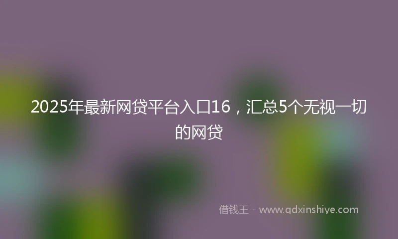 2025年最新网贷平台入口16，汇总5个无视一切的网贷