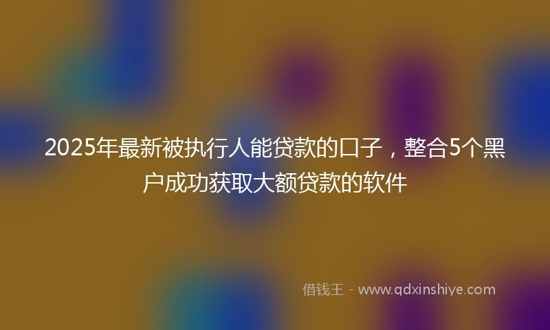 2025年最新被执行人能贷款的口子，整合5个黑户成功获取大额贷款的软件