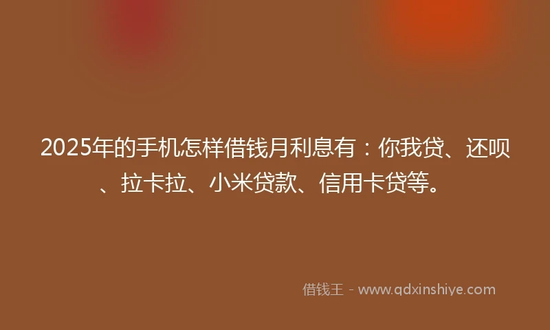 2025年的手机怎样借钱月利息有：你我贷、还呗、拉卡拉、小米贷款、信用卡贷等。