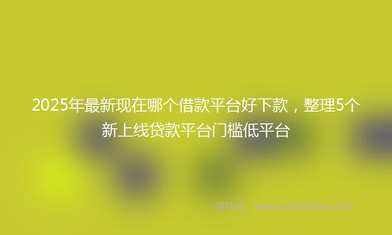 2025年最新现在哪个借款平台好下款，整理5个新上线贷款平台门槛低平台