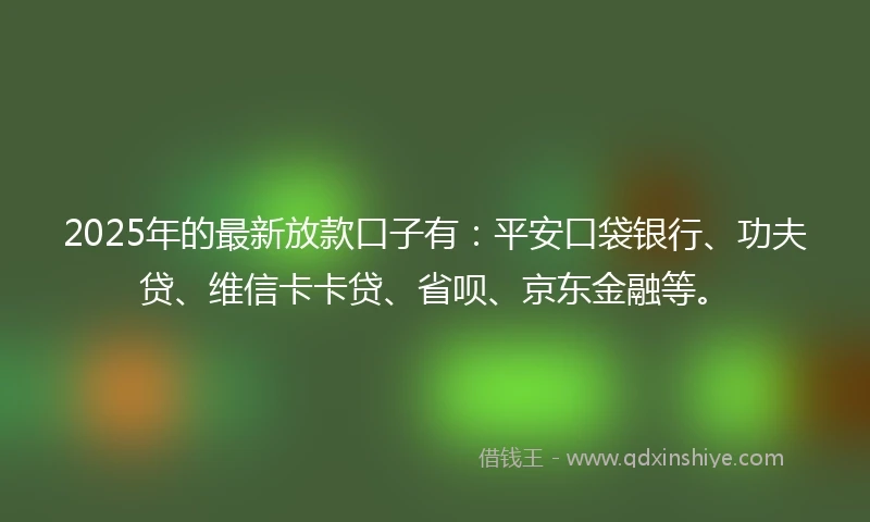 2025年的最新放款口子有：平安口袋银行、功夫贷、维信卡卡贷、省呗、京东金融等。