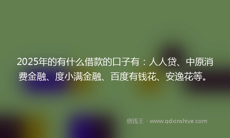 2025年的有什么借款的口子有：人人贷、中原消费金融、度小满金融、百度有钱花、安逸花等。