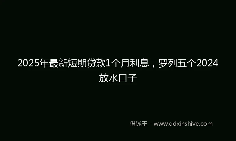 2025年最新短期贷款1个月利息，罗列五个2024放水口子