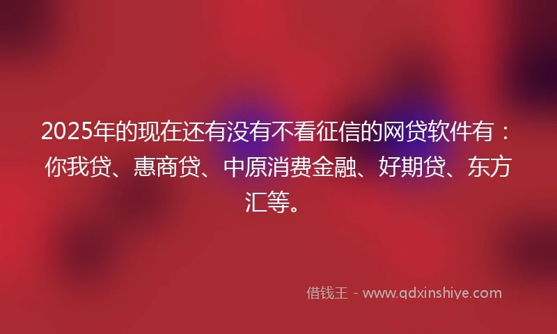2025年的现在还有没有不看征信的网贷软件有：你我贷、惠商贷、中原消费金融、好期贷、东方汇等。