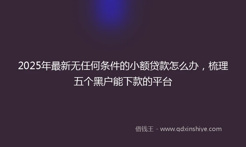 2025年最新无任何条件的小额贷款怎么办，梳理五个黑户能下款的平台
