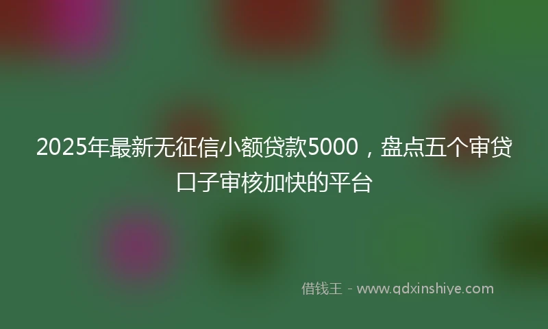 2025年最新无征信小额贷款5000，盘点五个审贷口子审核加快的平台