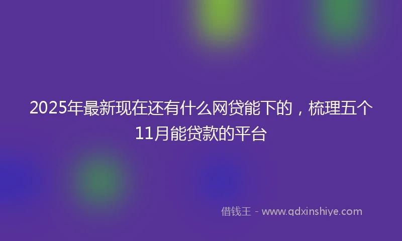 2025年最新现在还有什么网贷能下的，梳理五个11月能贷款的平台