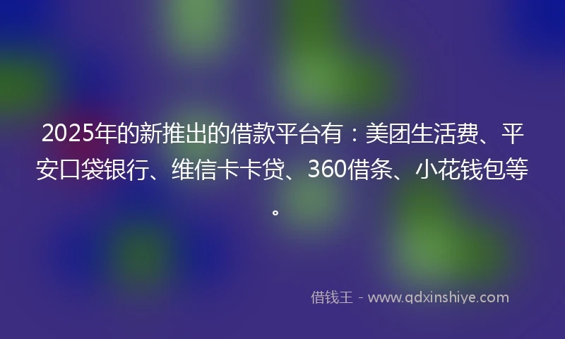 2025年的新推出的借款平台有：美团生活费、平安口袋银行、维信卡卡贷、360借条、小花钱包等。