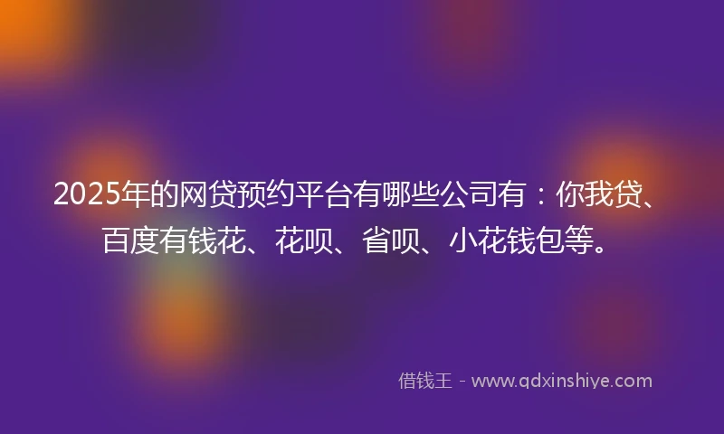 2025年的网贷预约平台有哪些公司有：你我贷、百度有钱花、花呗、省呗、小花钱包等。