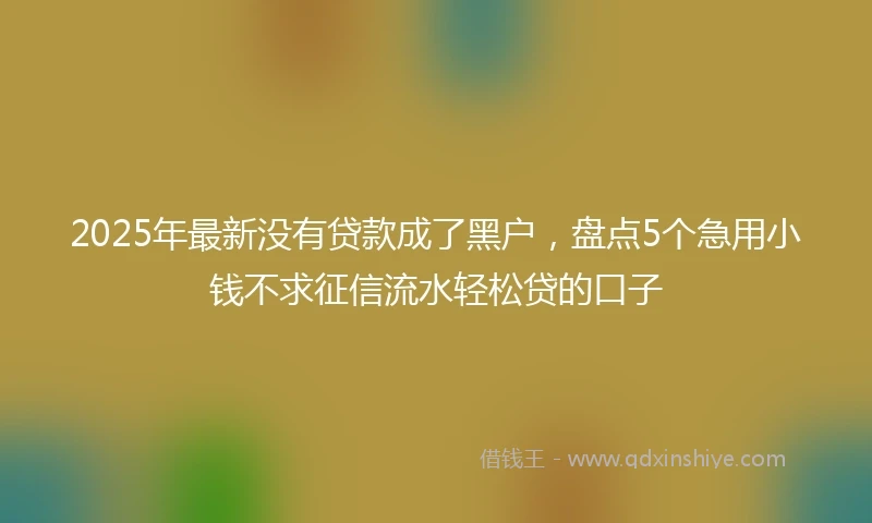 2025年最新没有贷款成了黑户，盘点5个急用小钱不求征信流水轻松贷的口子