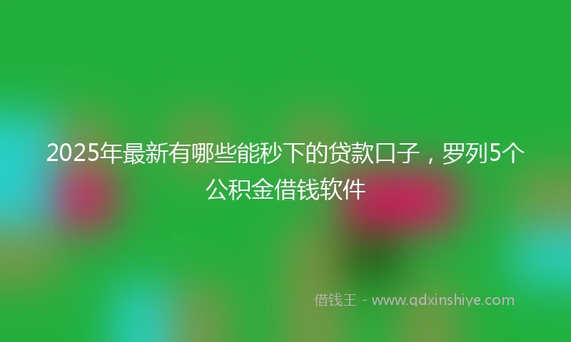 2025年最新有哪些能秒下的贷款口子，罗列5个公积金借钱软件