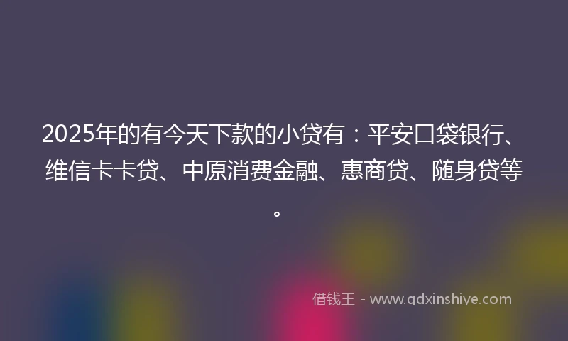 2025年的有今天下款的小贷有：平安口袋银行、维信卡卡贷、中原消费金融、惠商贷、随身贷等。