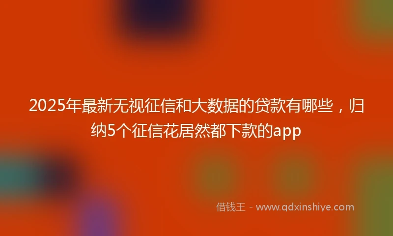 2025年最新无视征信和大数据的贷款有哪些，归纳5个征信花居然都下款的app
