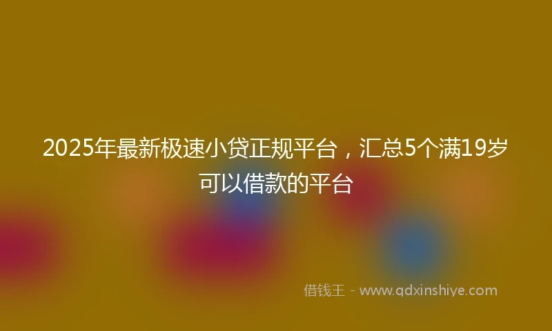 2025年最新极速小贷正规平台，汇总5个满19岁可以借款的平台