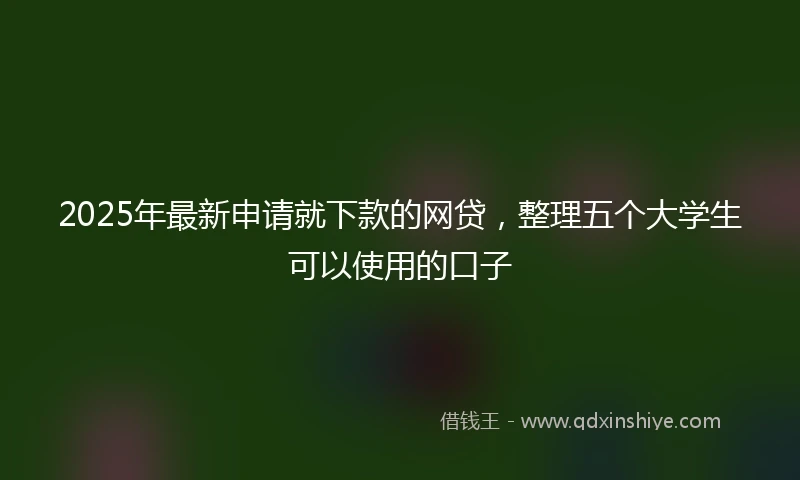 2025年最新申请就下款的网贷，整理五个大学生可以使用的口子
