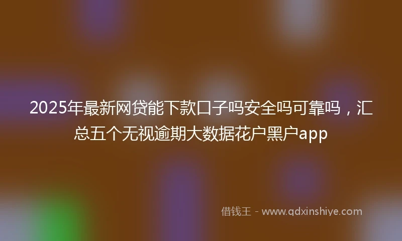 2025年最新网贷能下款口子吗安全吗可靠吗，汇总五个无视逾期大数据花户黑户app