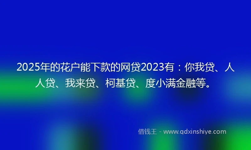 2025年的花户能下款的网贷2023有：你我贷、人人贷、我来贷、柯基贷、度小满金融等。