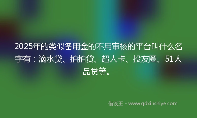 2025年的类似备用金的不用审核的平台叫什么名字有：滴水贷、拍拍贷、超人卡、投友圈、51人品贷等。