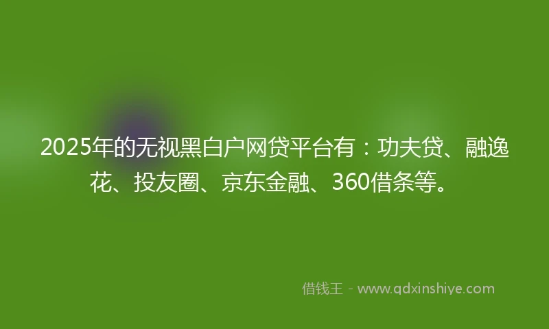 2025年的无视黑白户网贷平台有：功夫贷、融逸花、投友圈、京东金融、360借条等。