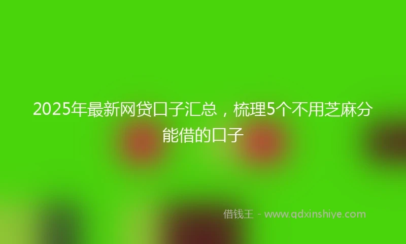 2025年最新网贷口子汇总，梳理5个不用芝麻分能借的口子