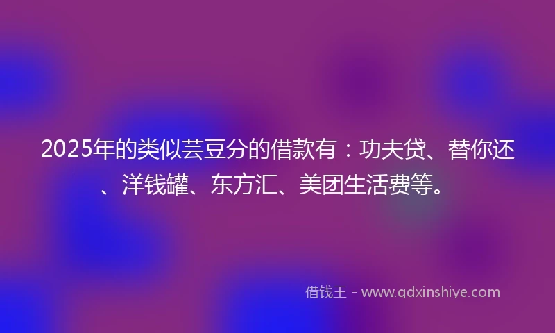 2025年的类似芸豆分的借款有：功夫贷、替你还、洋钱罐、东方汇、美团生活费等。