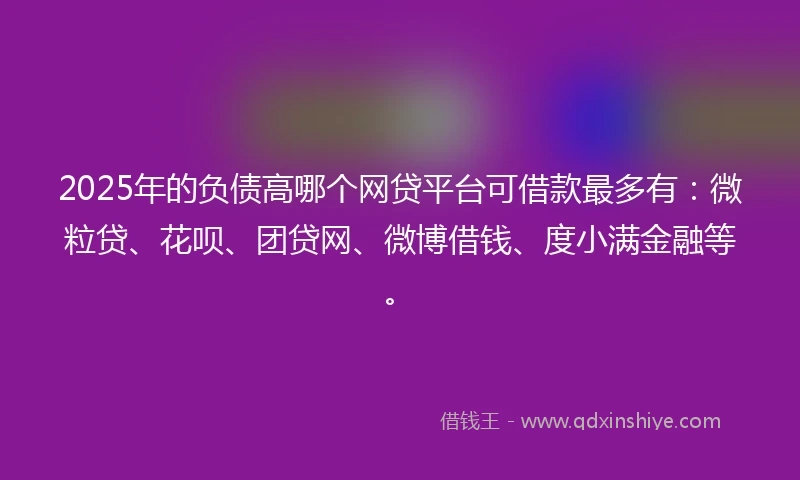 2025年的负债高哪个网贷平台可借款最多有：微粒贷、花呗、团贷网、微博借钱、度小满金融等。